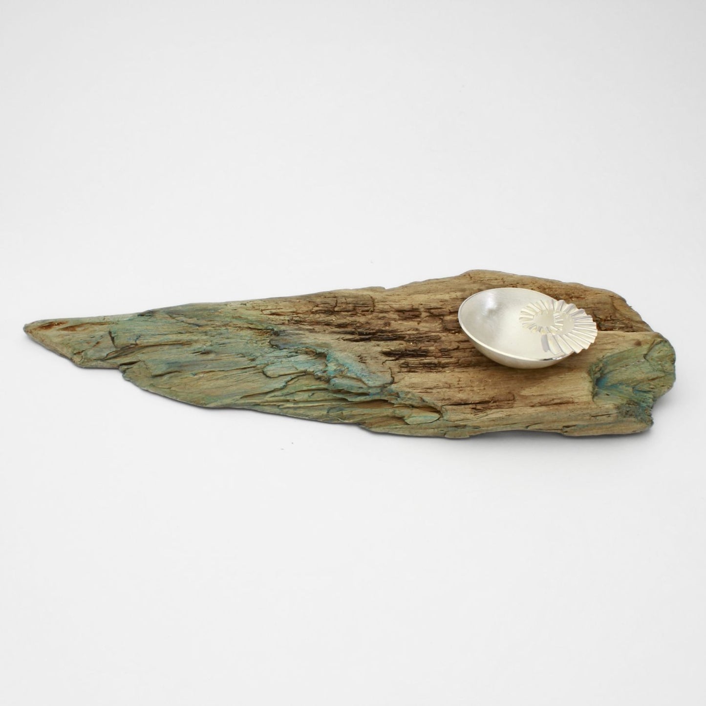 Ammonite bowl on driftwood