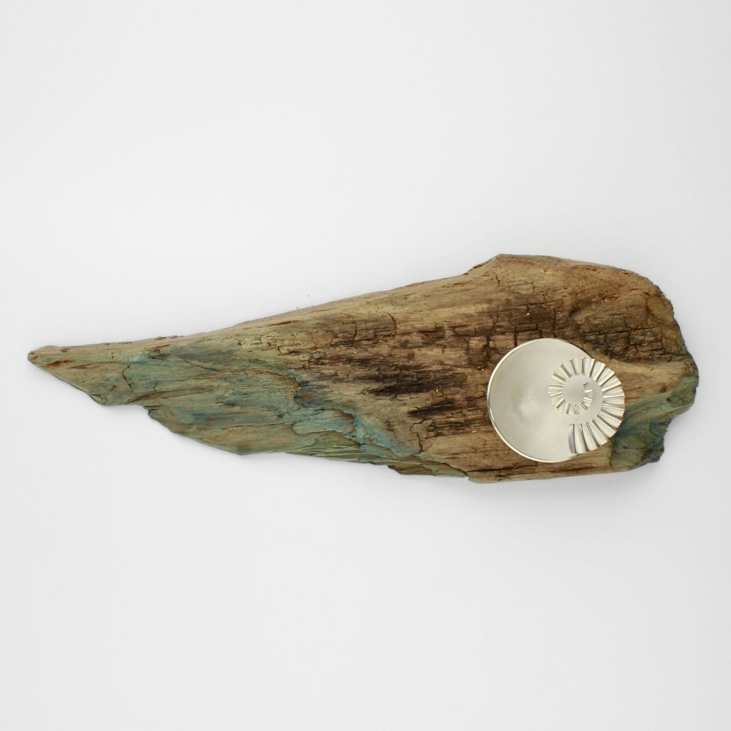 Ammonite bowl on driftwood
