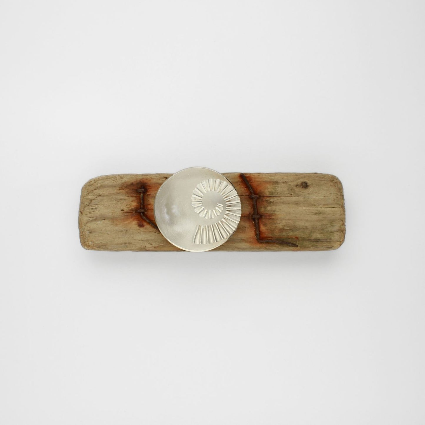 Ammonite bowl on driftwood