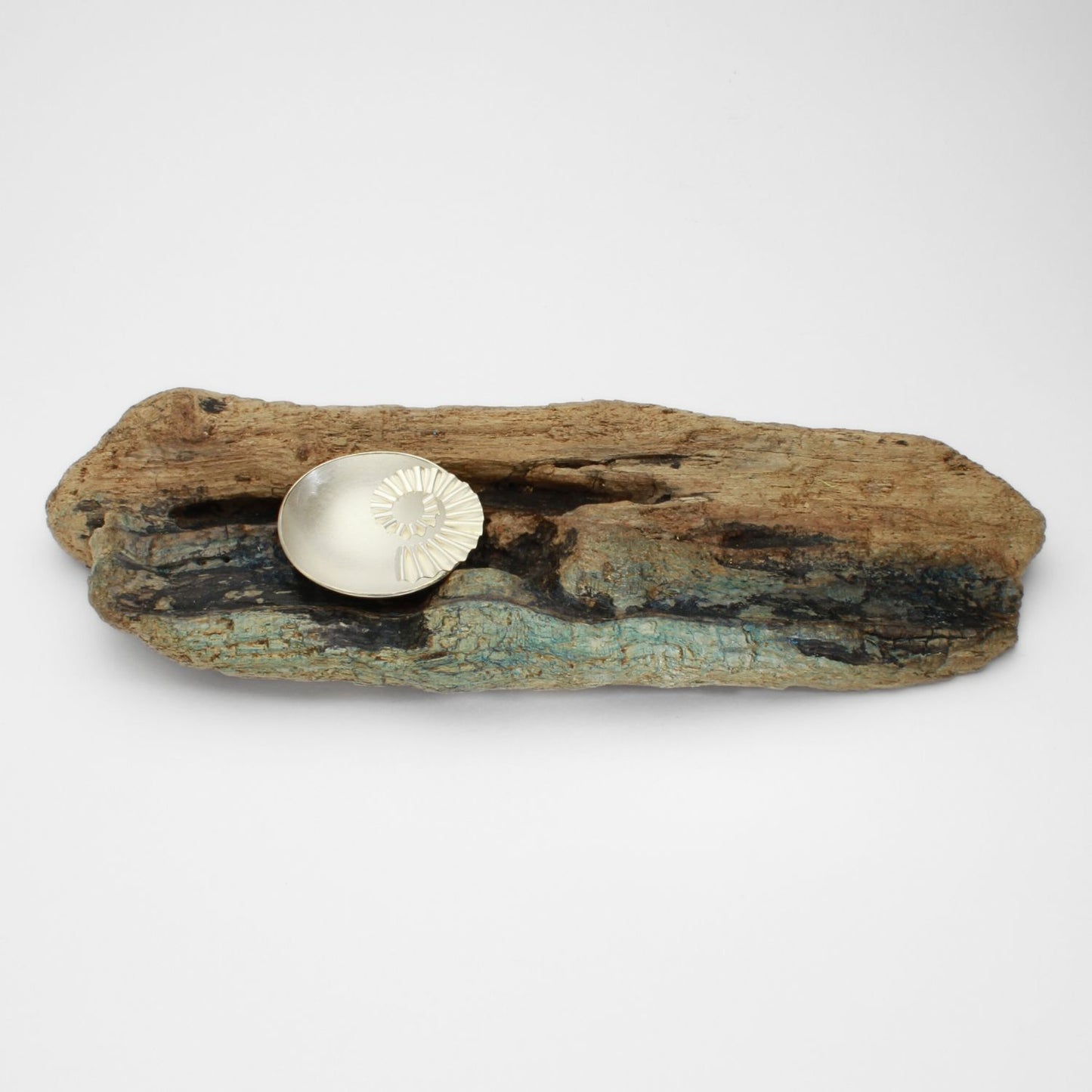 Ammonite bowl on driftwood