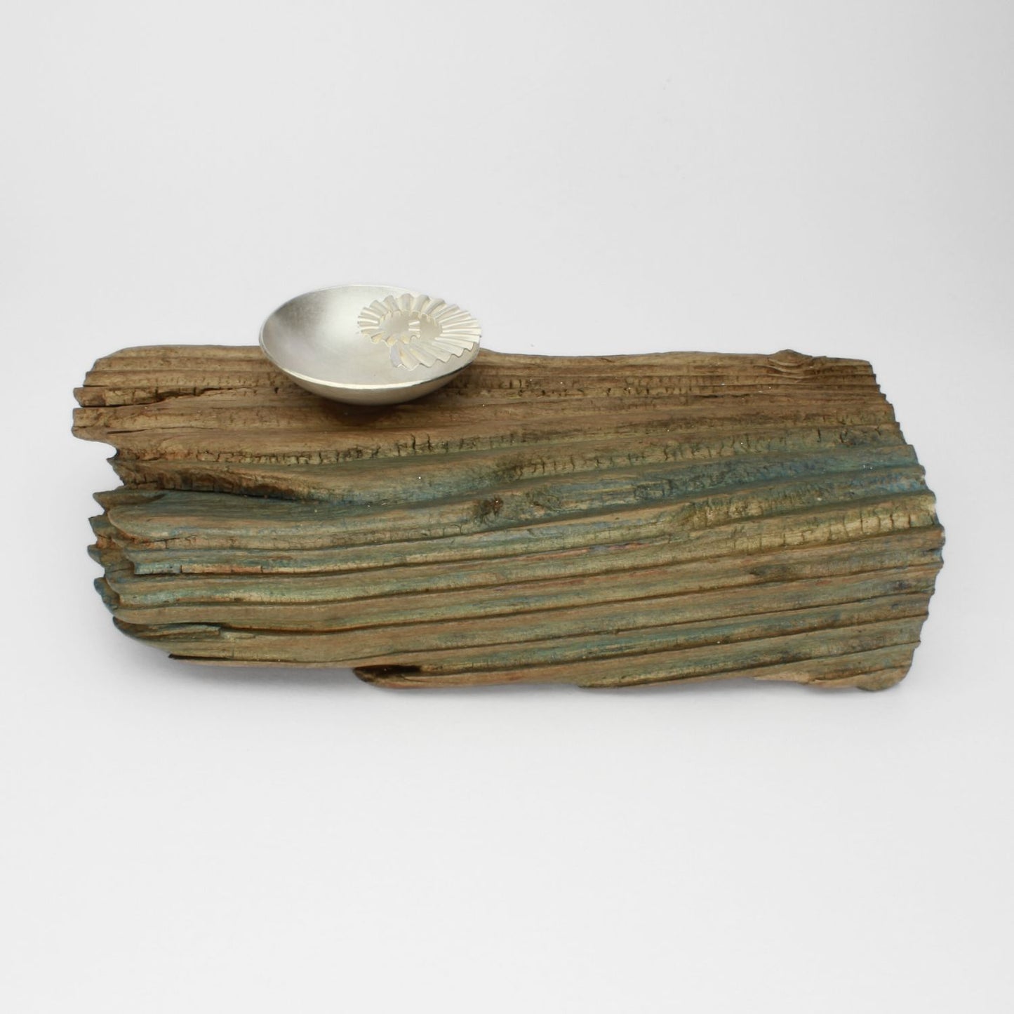 Silver ammonite bowl on driftwood