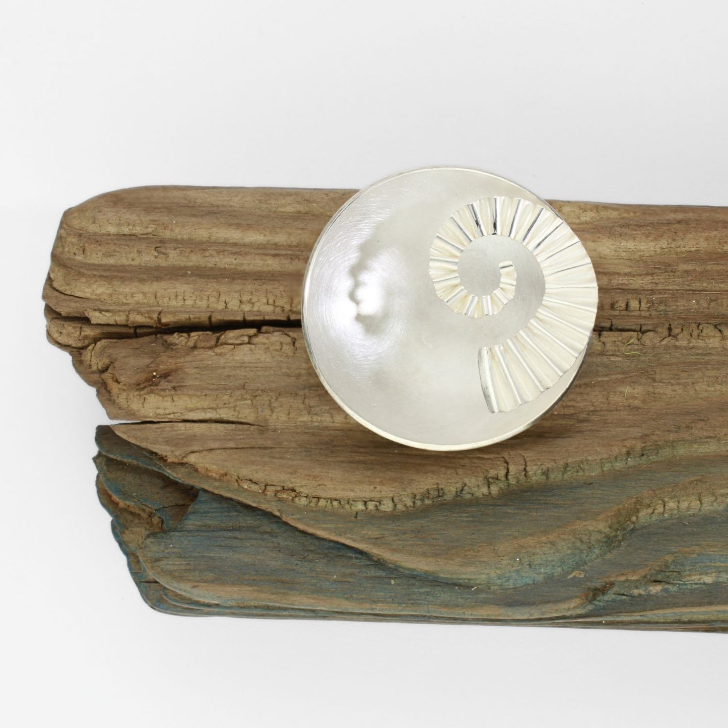 Silver ammonite bowl on driftwood