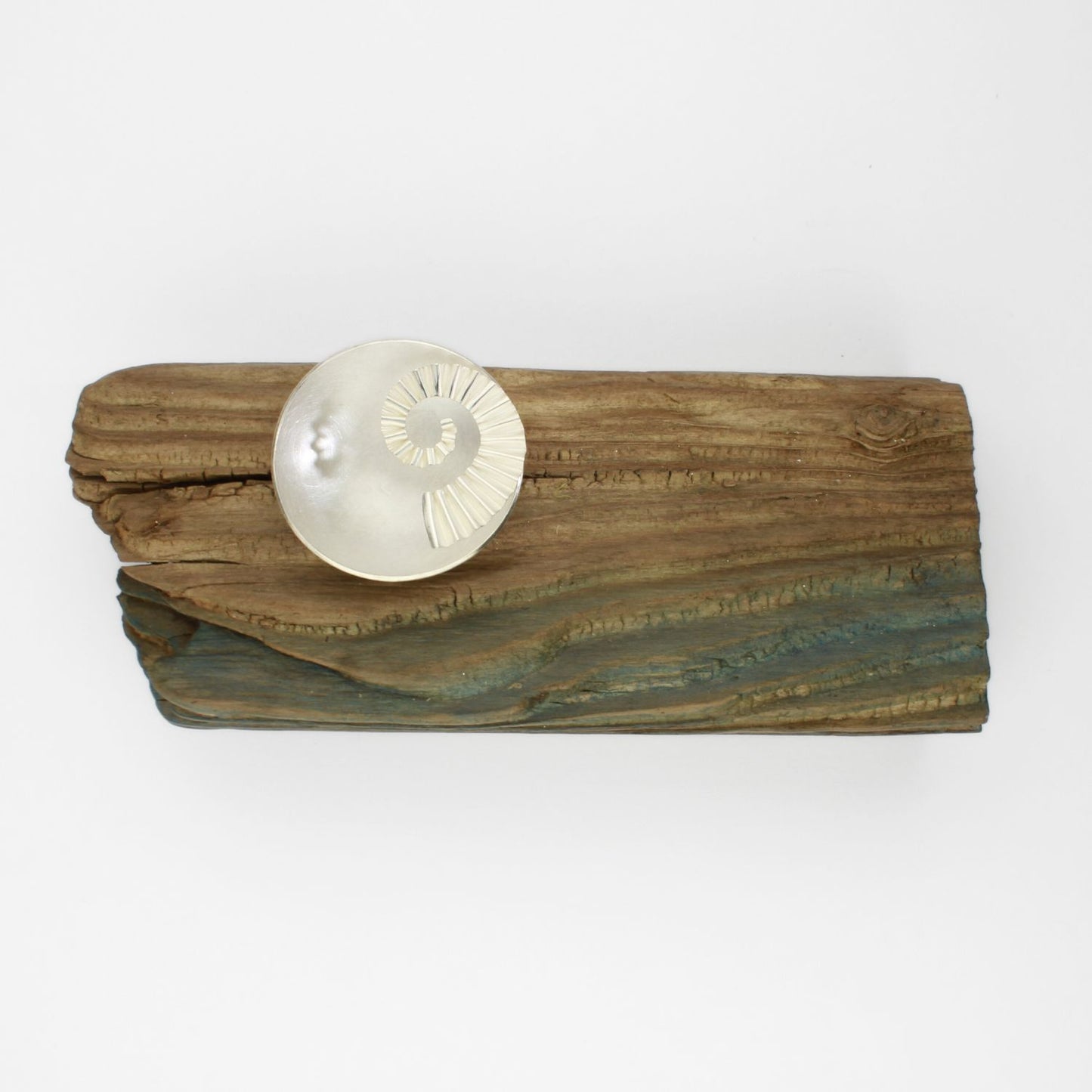 Silver ammonite bowl on driftwood