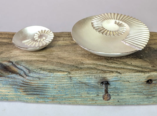 2 ammonite bowls on driftwood
