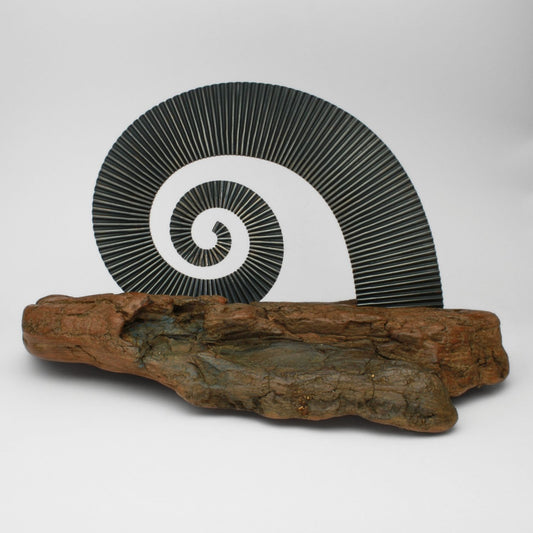 Dark silver ammonite sculpture on driftwood