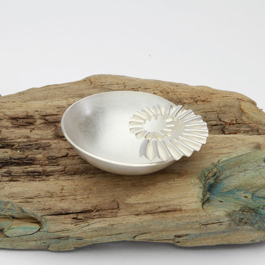 Ammonite bowl on driftwood