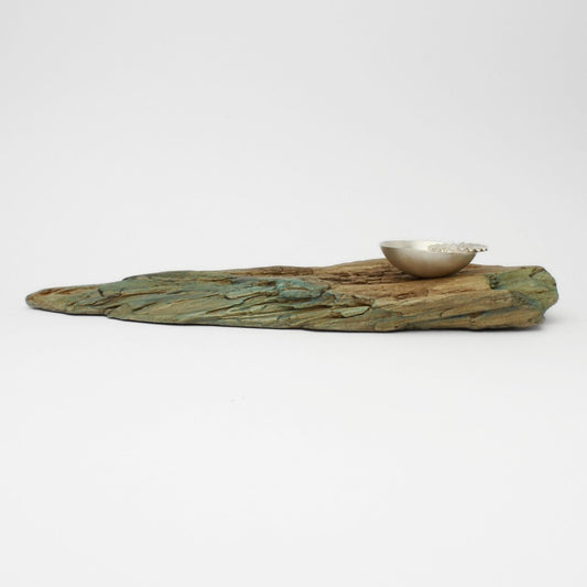 Ammonite bowl on driftwood