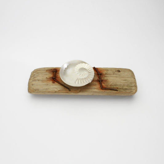 Ammonite bowl on driftwood