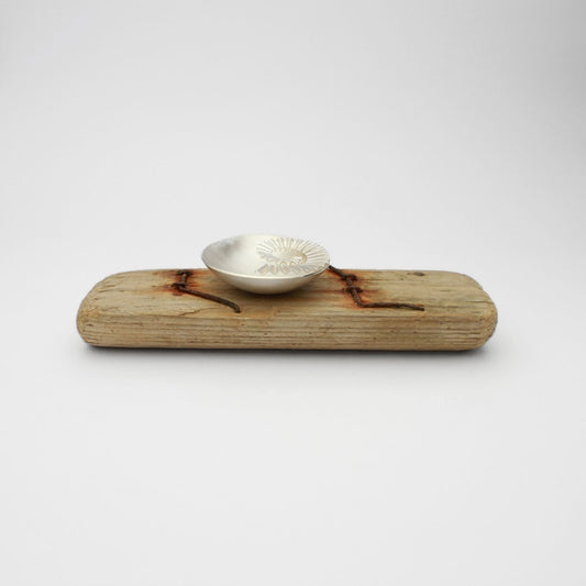 Ammonite bowl on driftwood