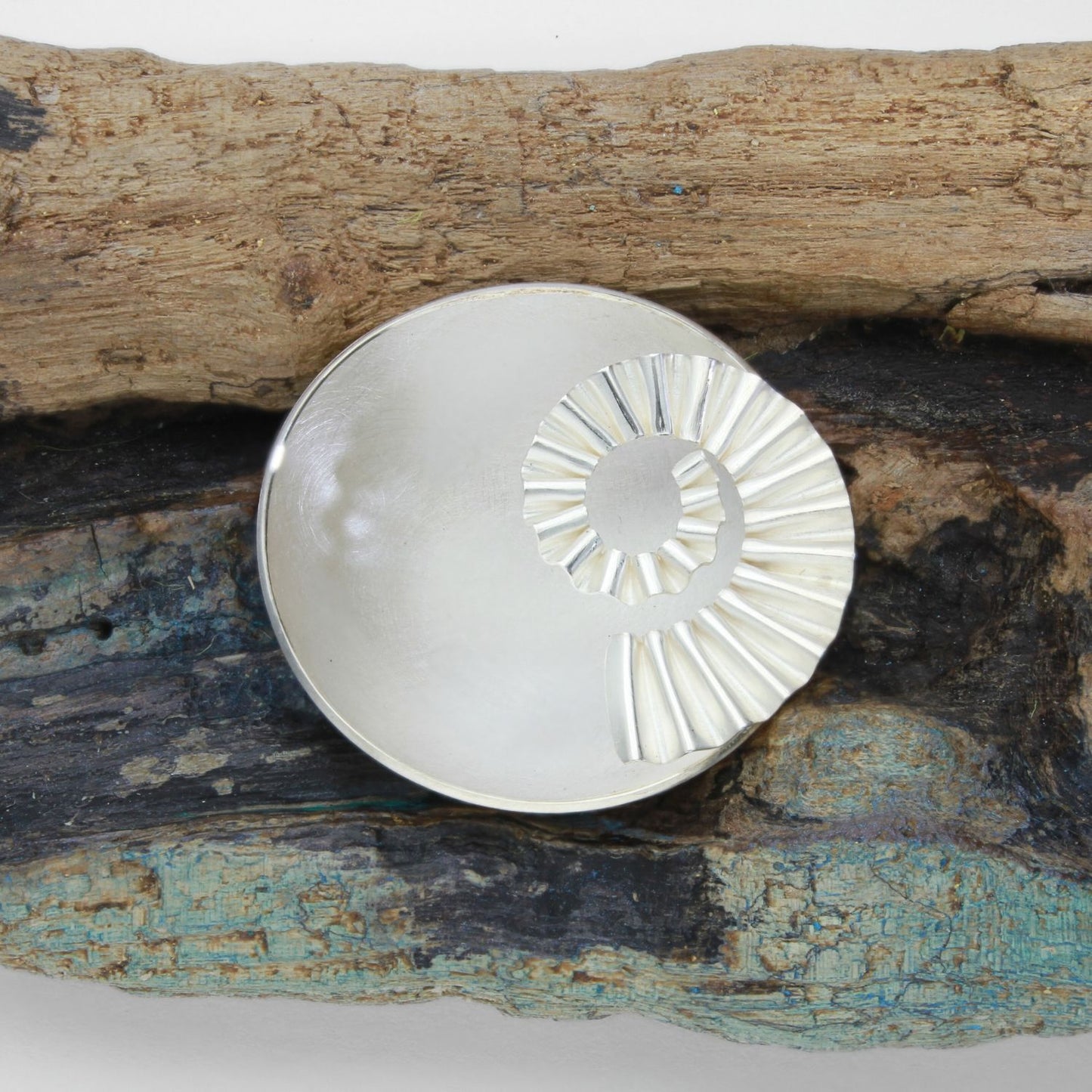 Ammonite bowl on driftwood