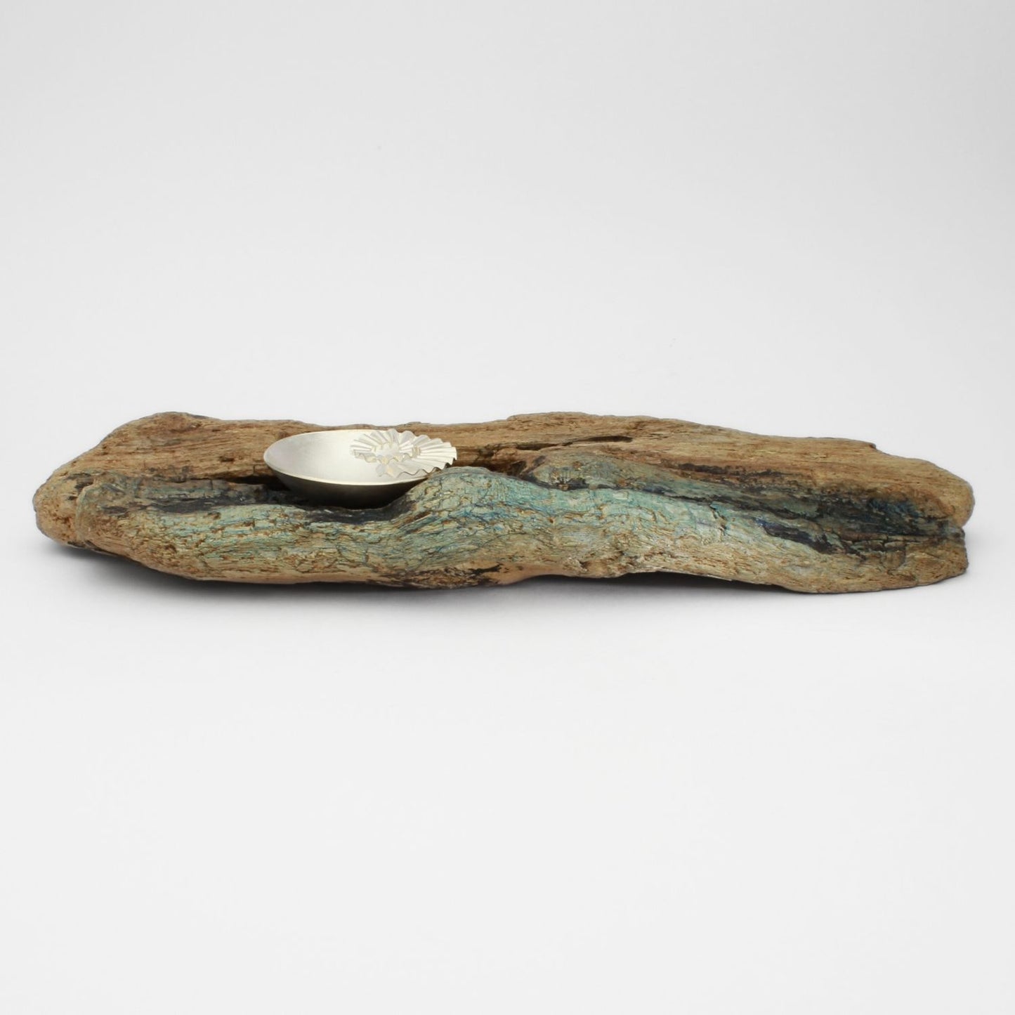 Ammonite bowl on driftwood