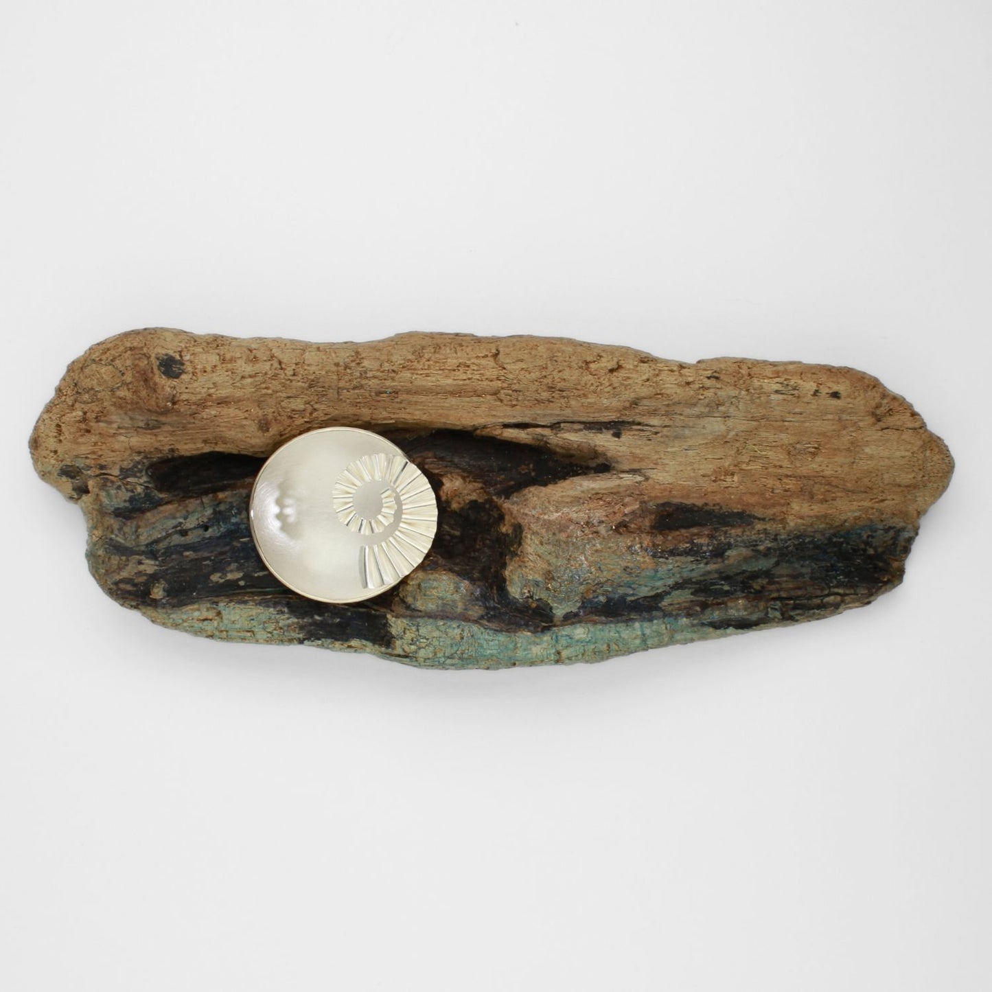 Ammonite bowl on driftwood