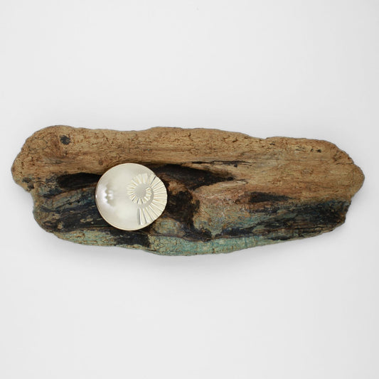Ammonite bowl on driftwood