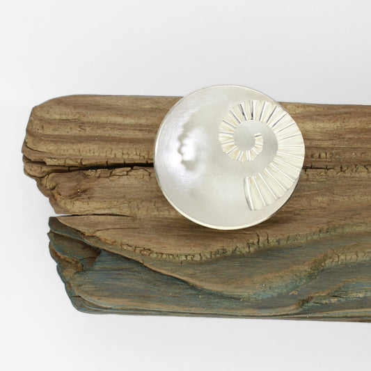 Silver ammonite bowl on driftwood